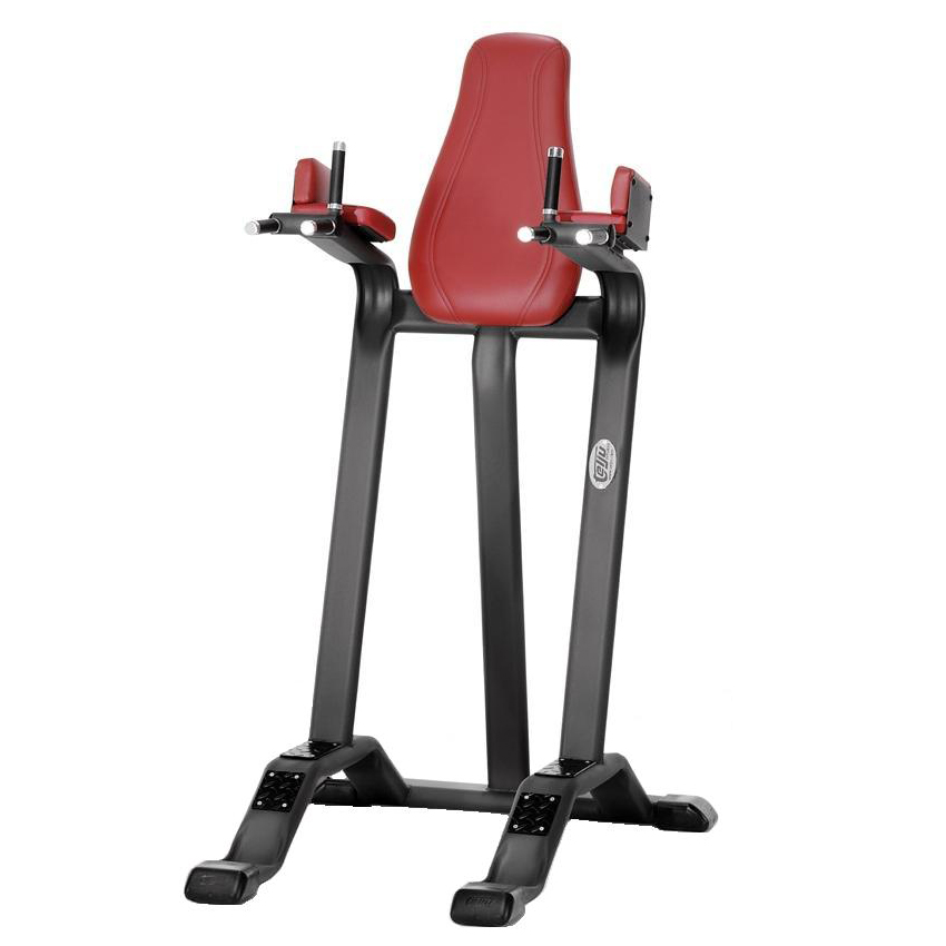 Read more about the article Abdominal bench