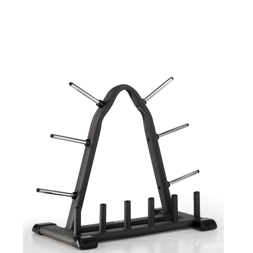 Read more about the article Disk and bar support