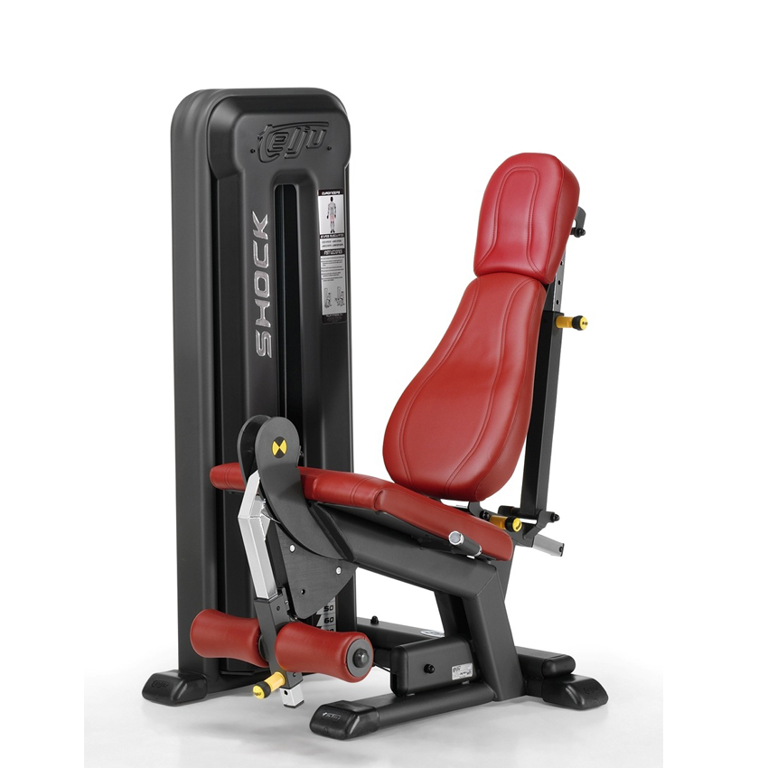 Read more about the article Quadriceps