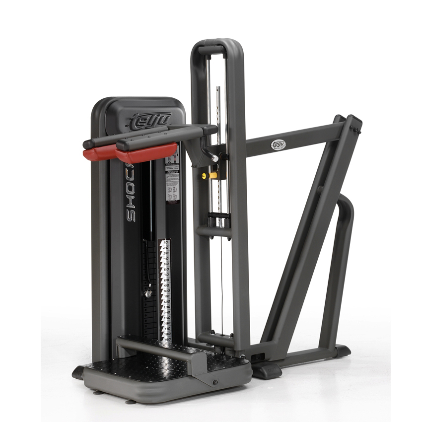 Read more about the article Squats and Twins
