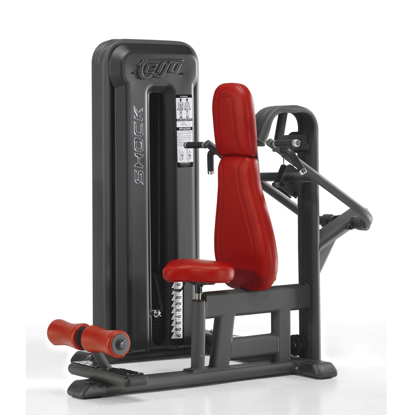 Read more about the article Triceps