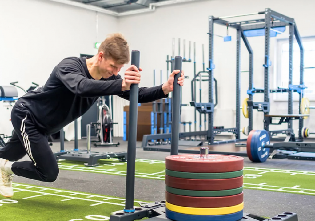 Read more about the article TURFLEX